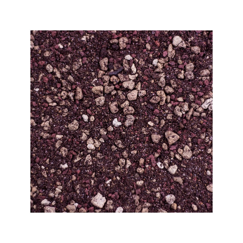 Succulent Potting Soil for Sale Online – Professional Draining Substrate for Cactus