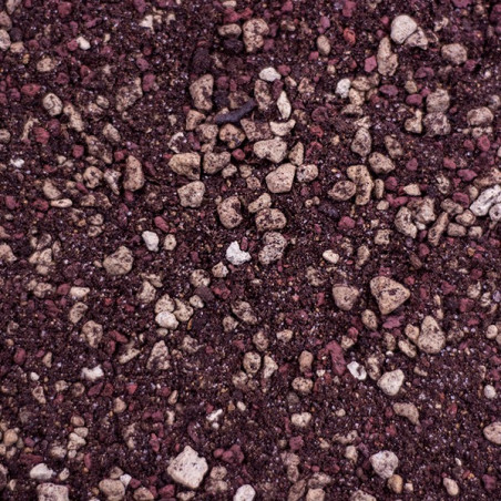 Succulent Potting Soil for Sale Online – Professional Draining Substrate for Cactus