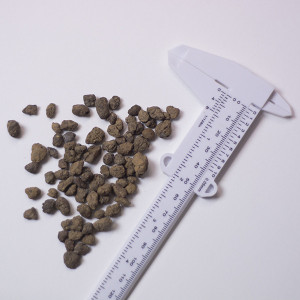 Argilla Espansa per Piante in Vendita Online – Leggerezza e Aerazione